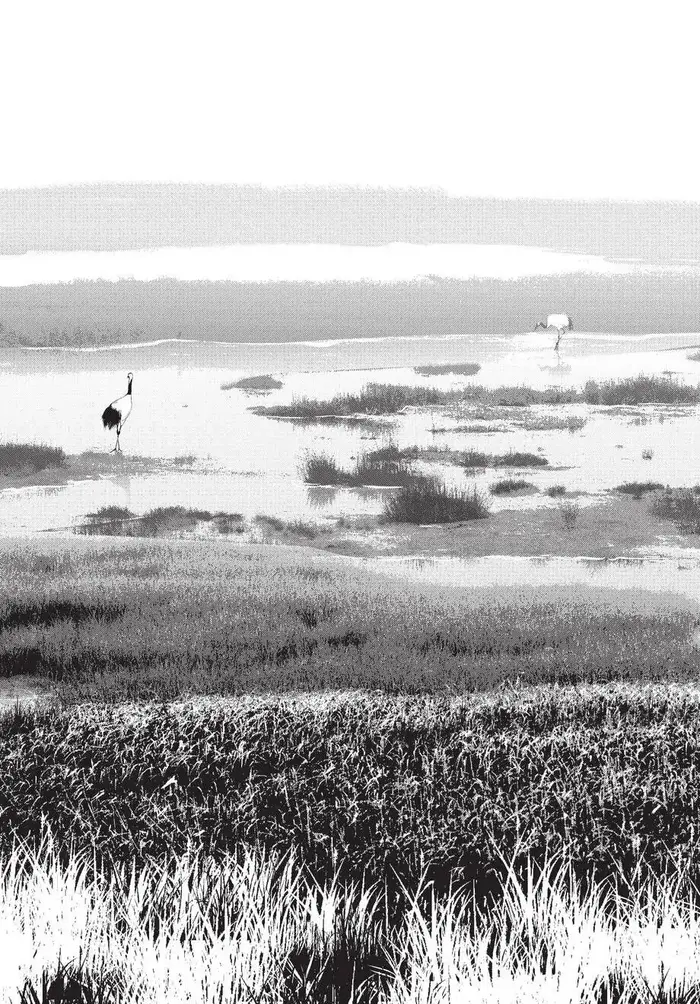 Golden Kamuy Chapter 108 image 06_optimized